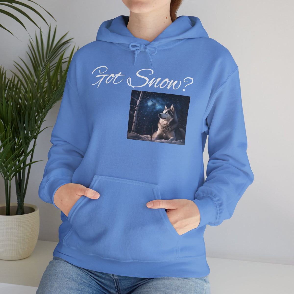 Got Snow? Unisex Hoodie