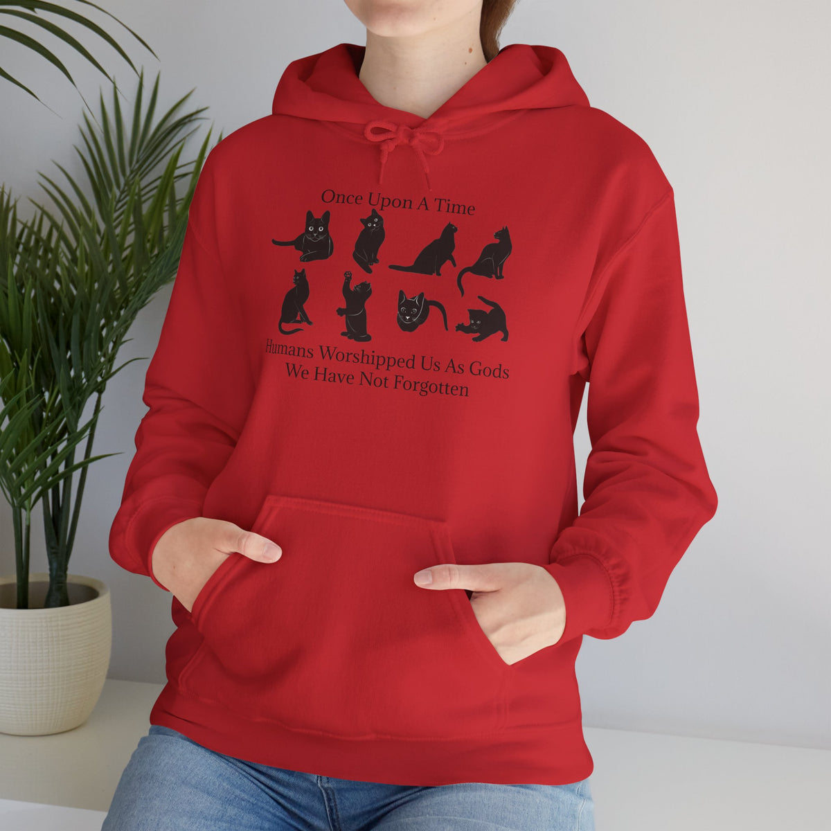 Once Upon A Time Unisex Hoodie