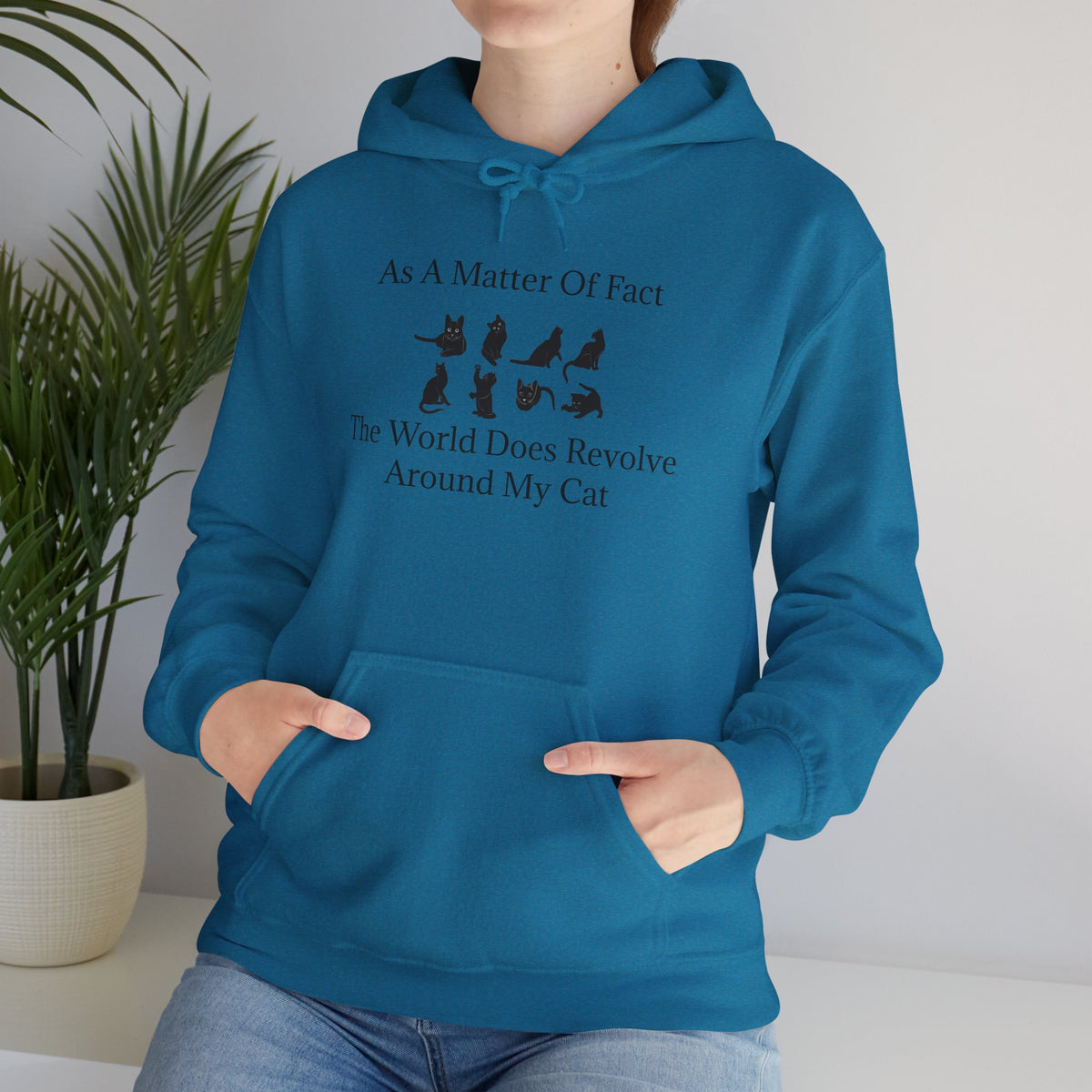 Matter Of Fact Cat Unisex Hoodie