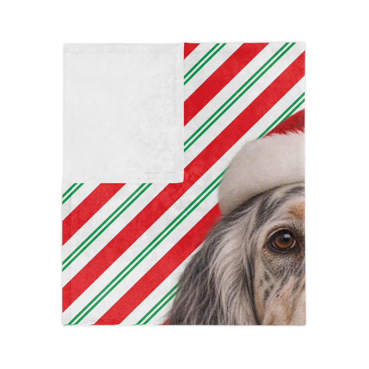 Santa Paws English Setter Velveteen Microfiber Blanket