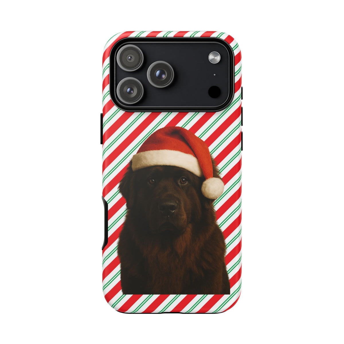 Santa Paws Newfie iPhone Case