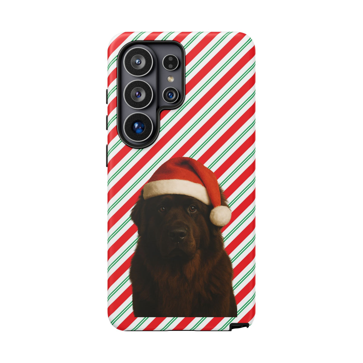 Santa Paws Newfie Samsung Case