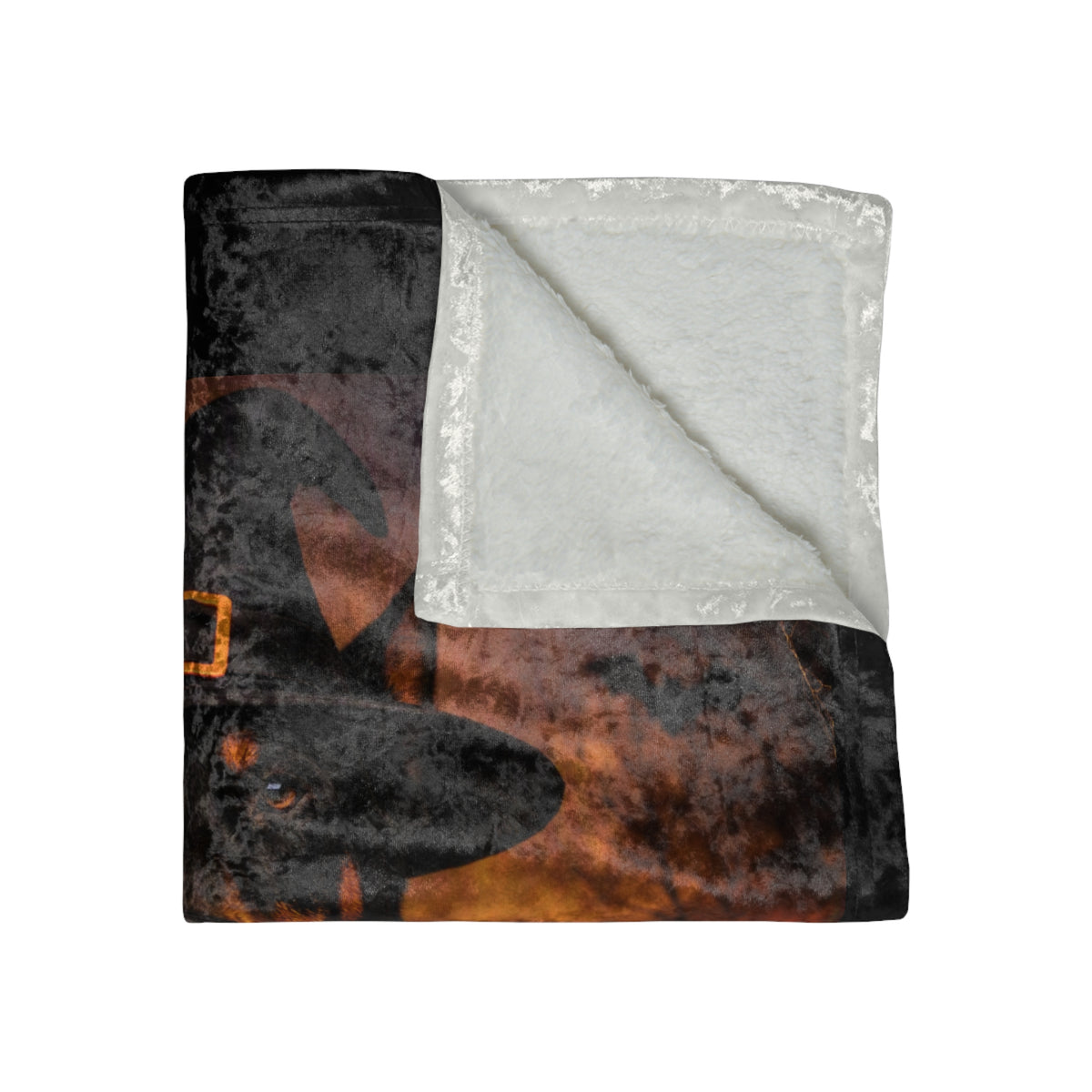 Witch Hat Pack Doberman Crushed Velvet Blanket