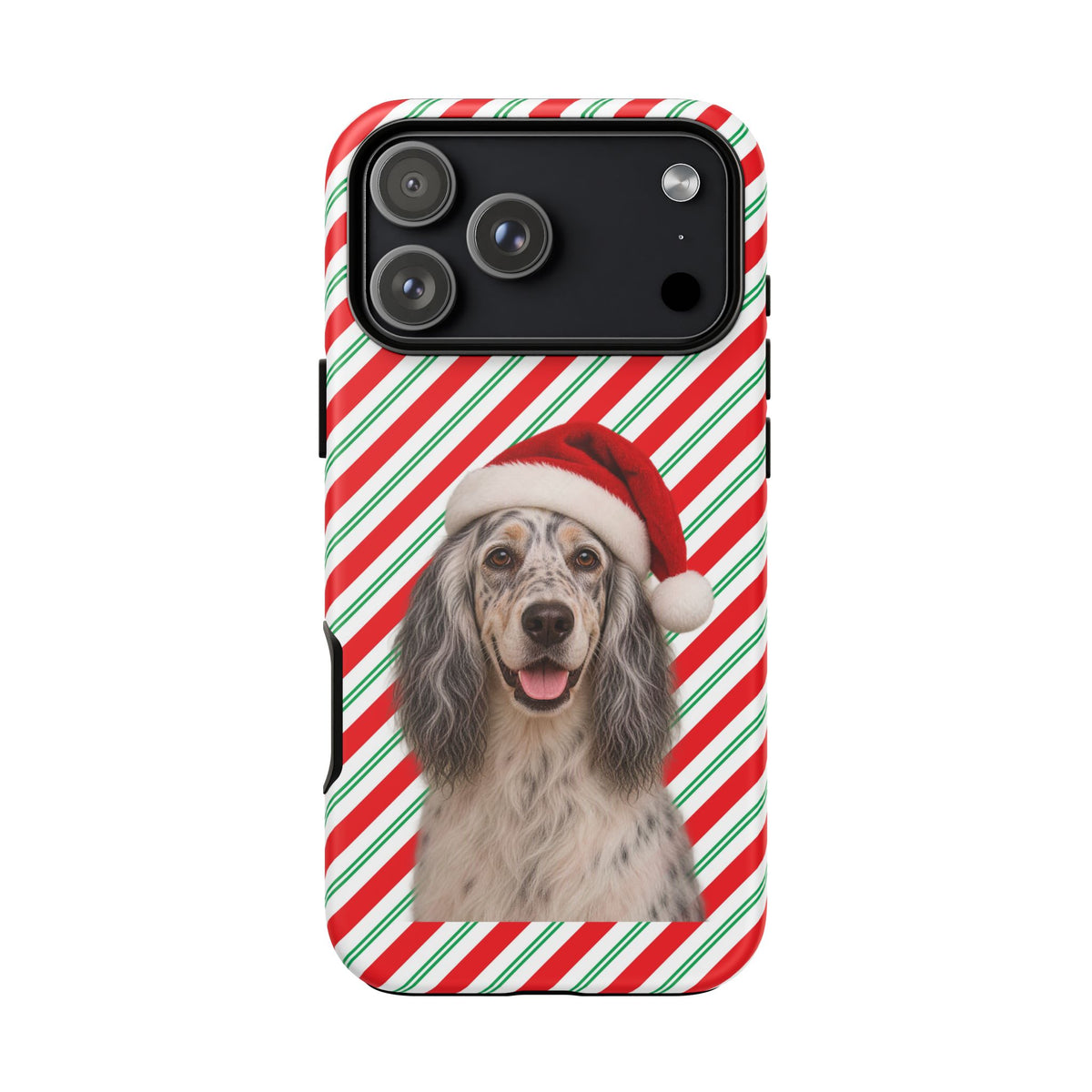Santa Paws English Setter iPhone Case