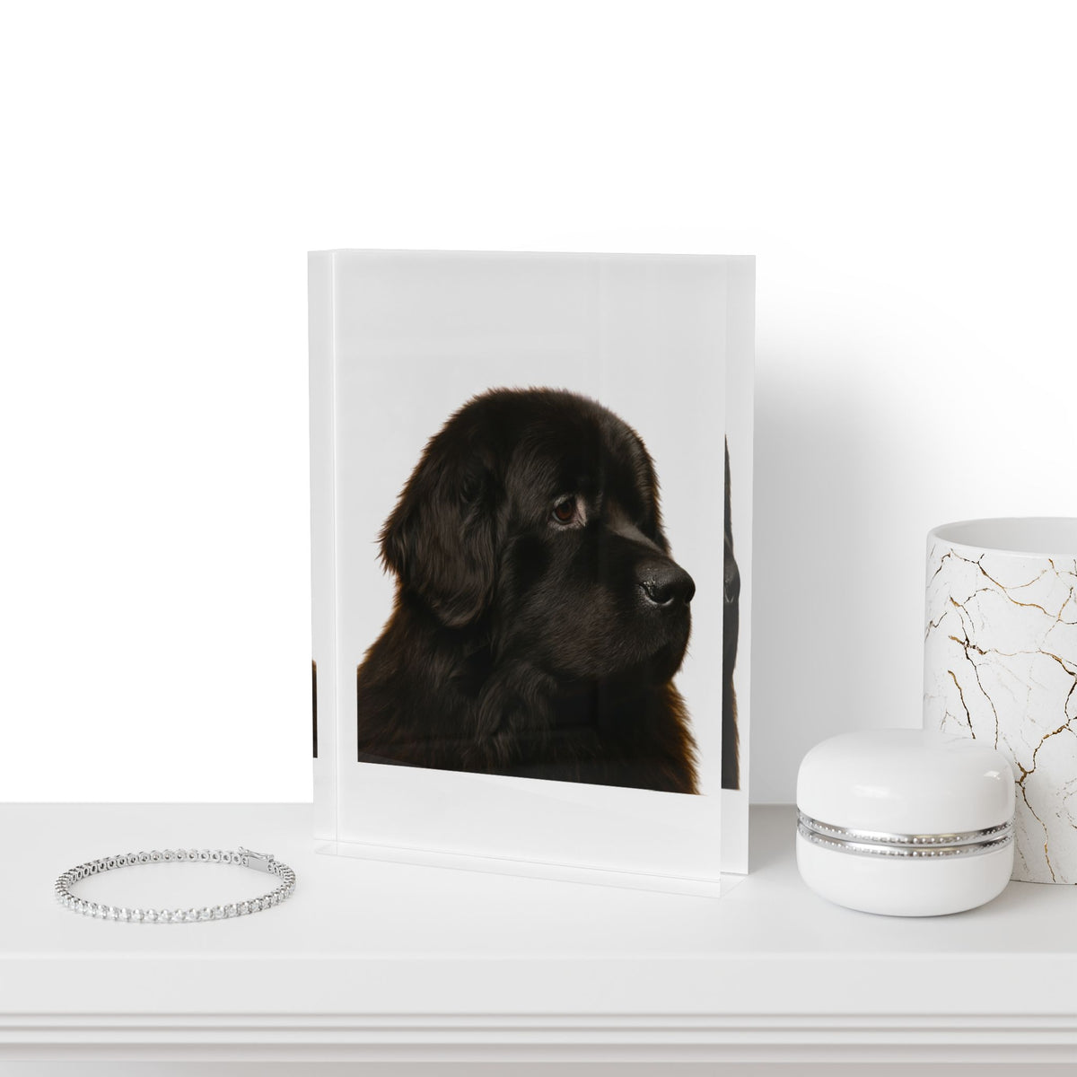 Newfie Head Acrylic Photo Block