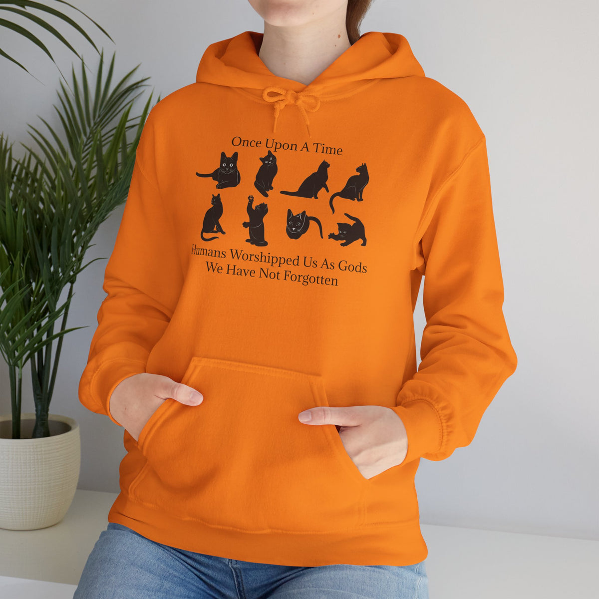 Once Upon A Time Unisex Hoodie