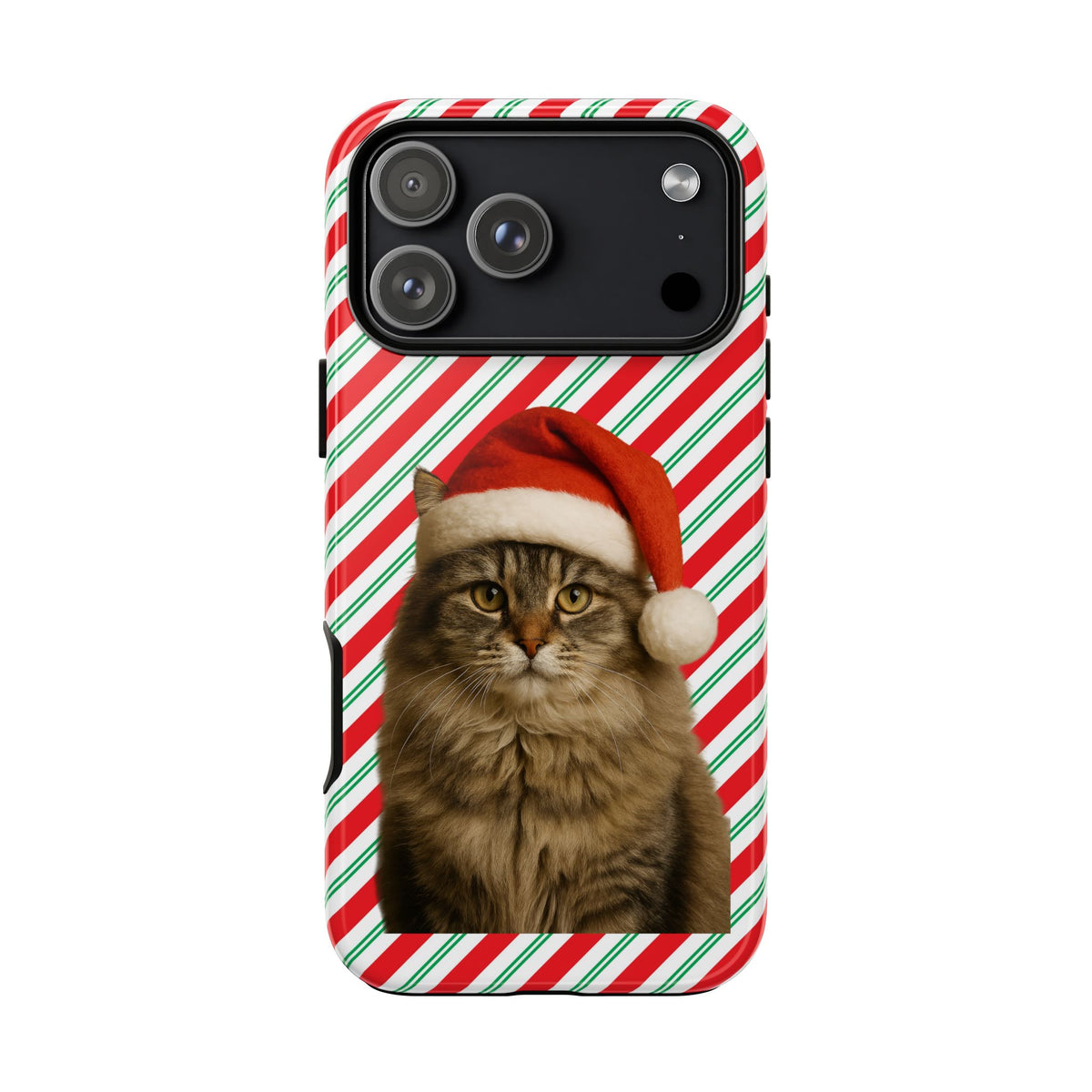 Santa Paws Cat iPhone Case