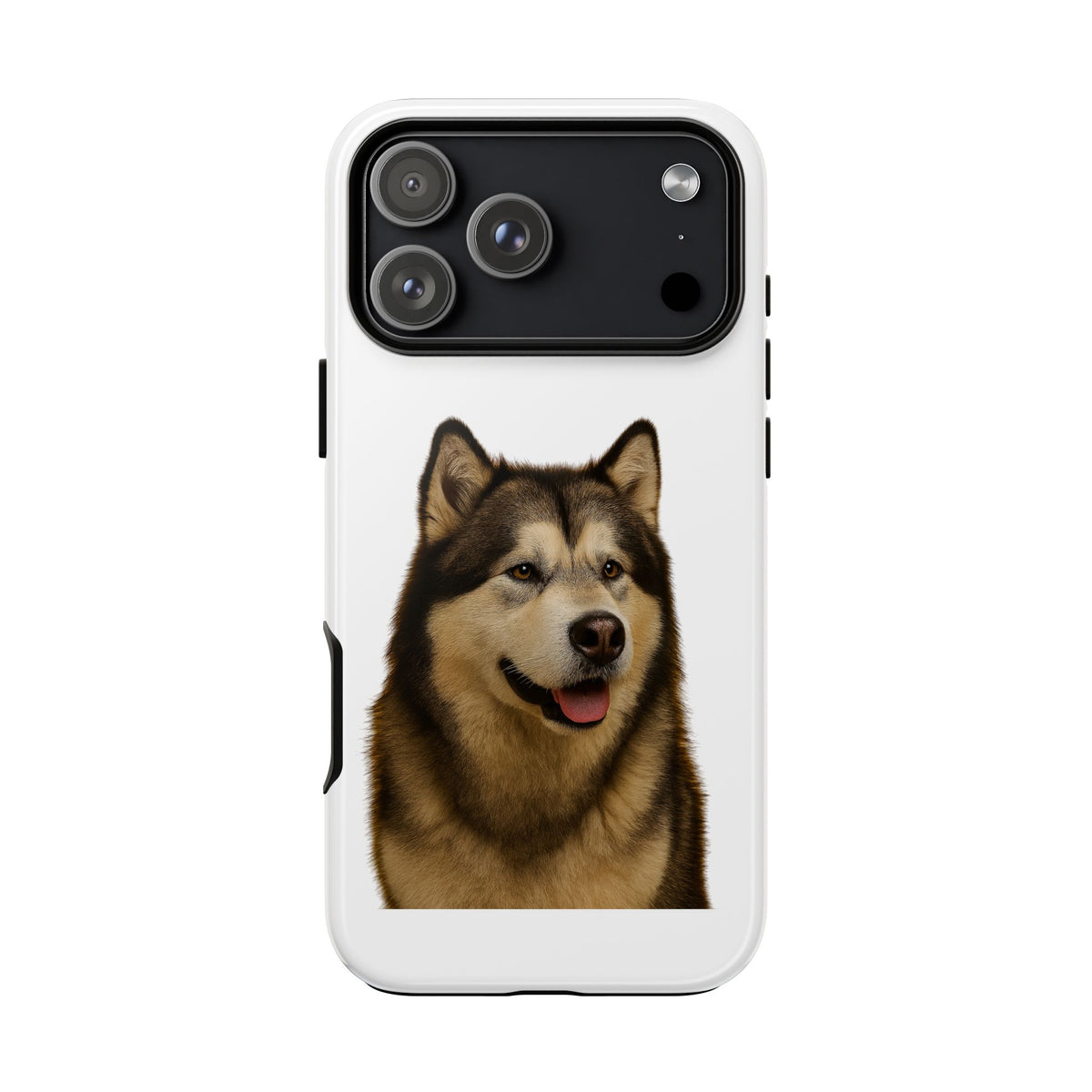Malamute Head iPhone Case