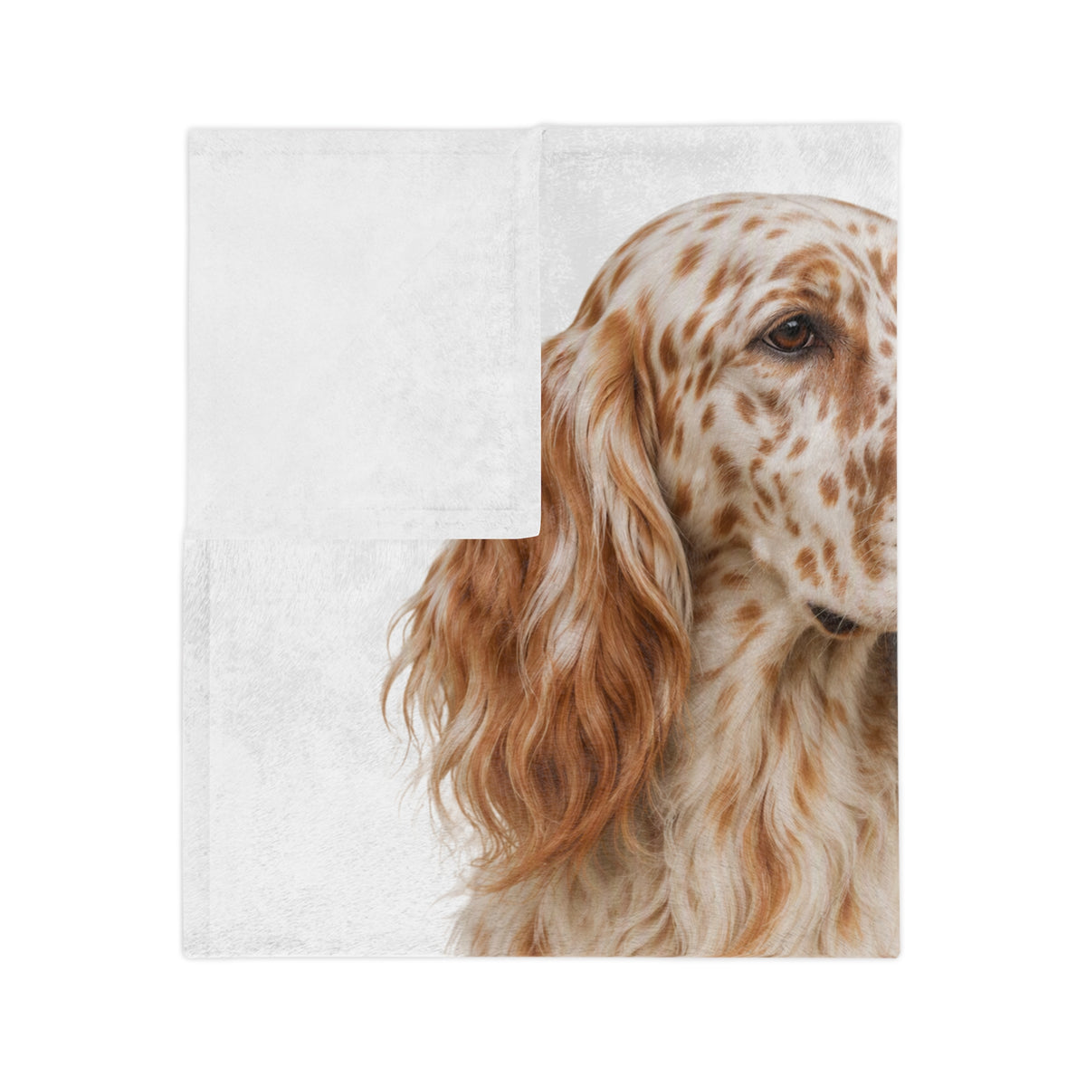 English Setter Head Velveteen Microfiber Blanket