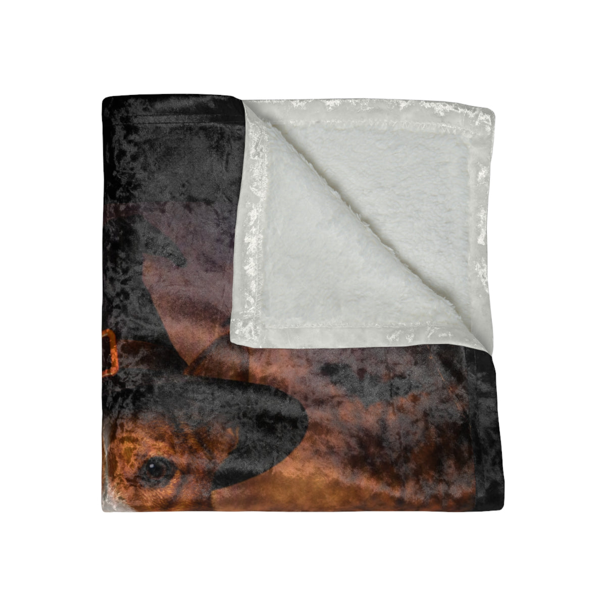 Witch Hat Pack Basenji Crushed Velvet Blanket