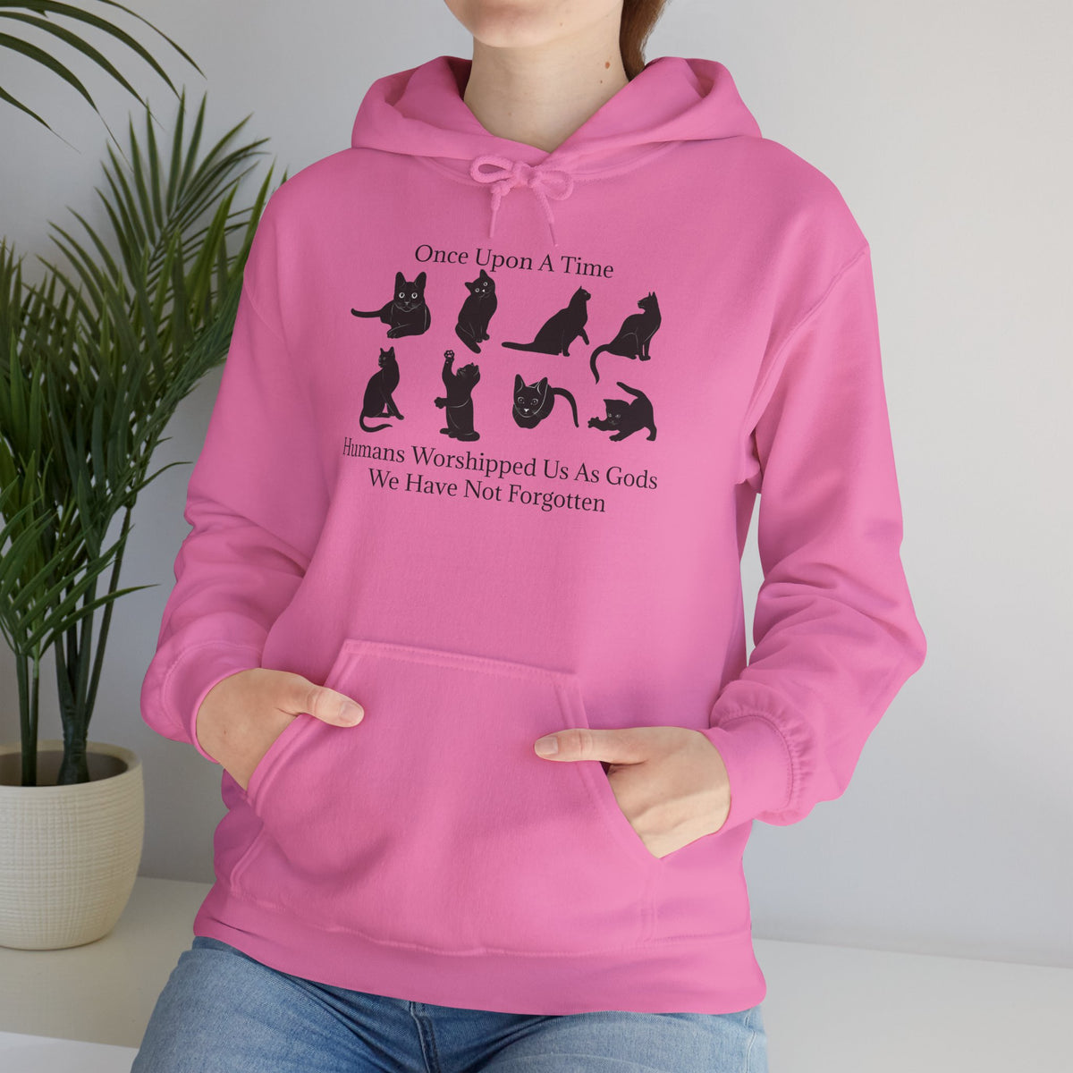 Once Upon A Time Unisex Hoodie
