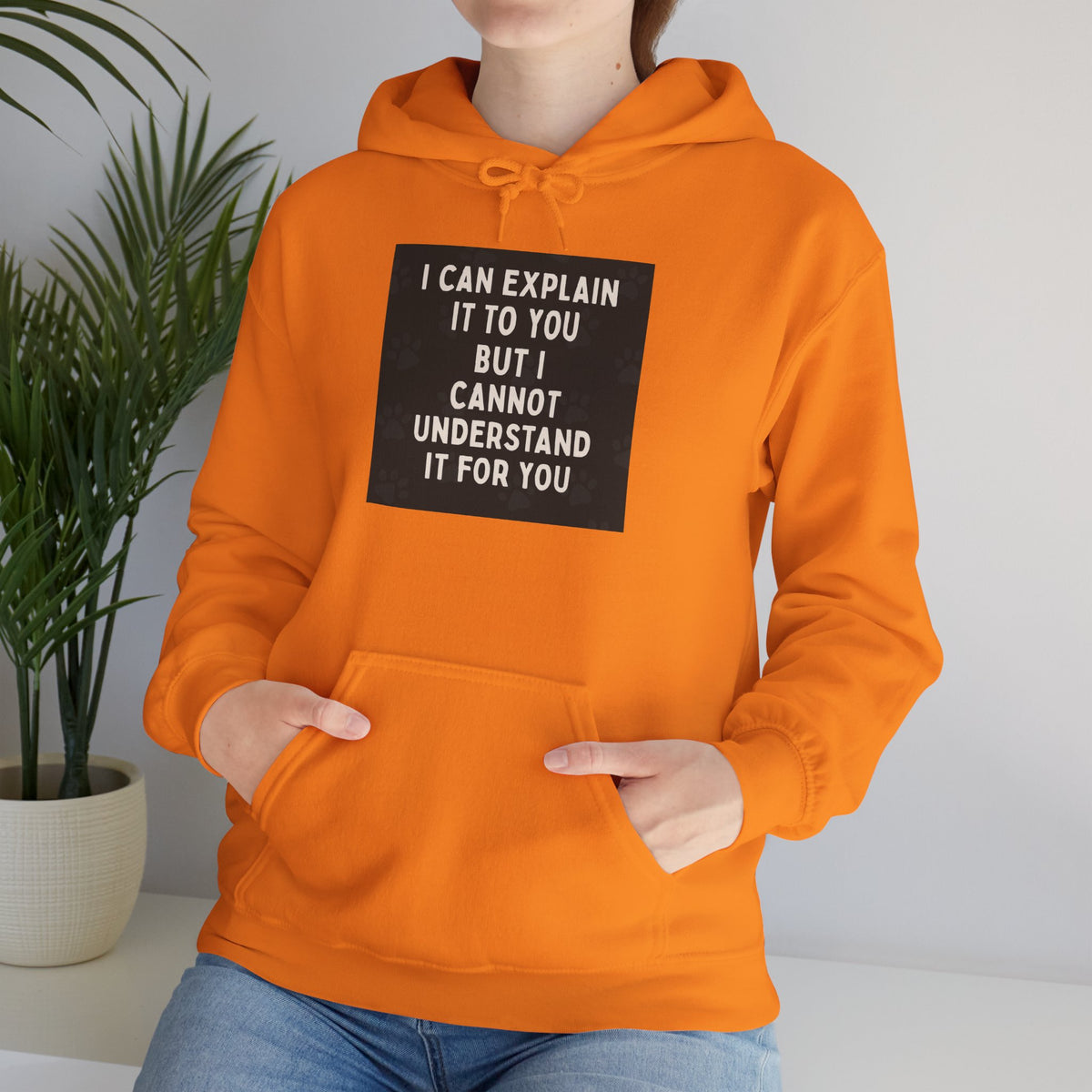 I Cannot Understand It For You Unisex Hoodie