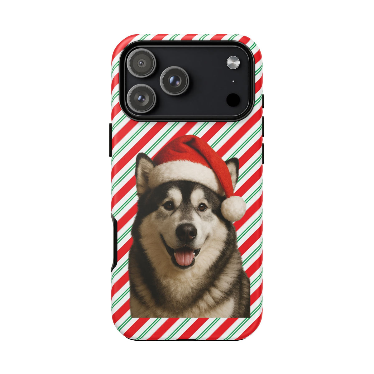 Santa Paws Malamute iPhone Case