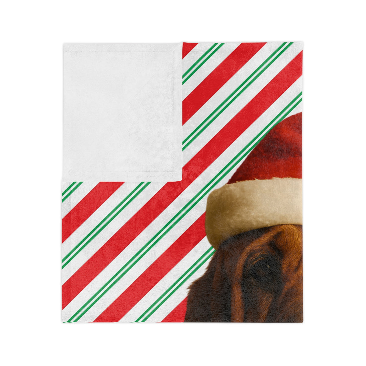 Santa Paws Bloodhound Velveteen Microfiber Blanket