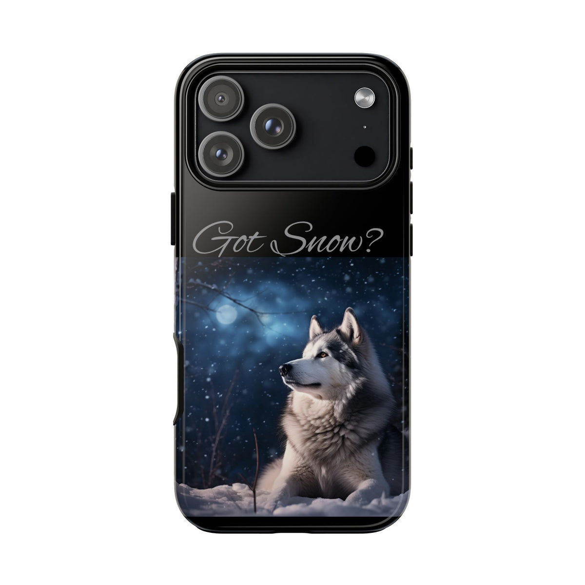 Got Snow? iPhone Case