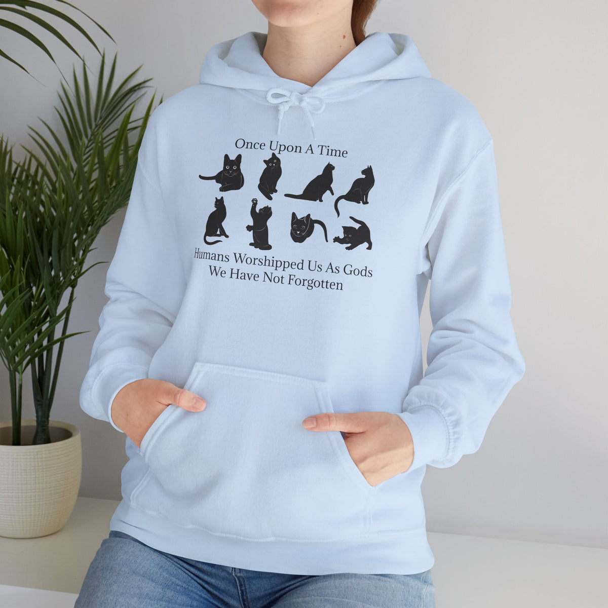 Once Upon A Time Unisex Hoodie