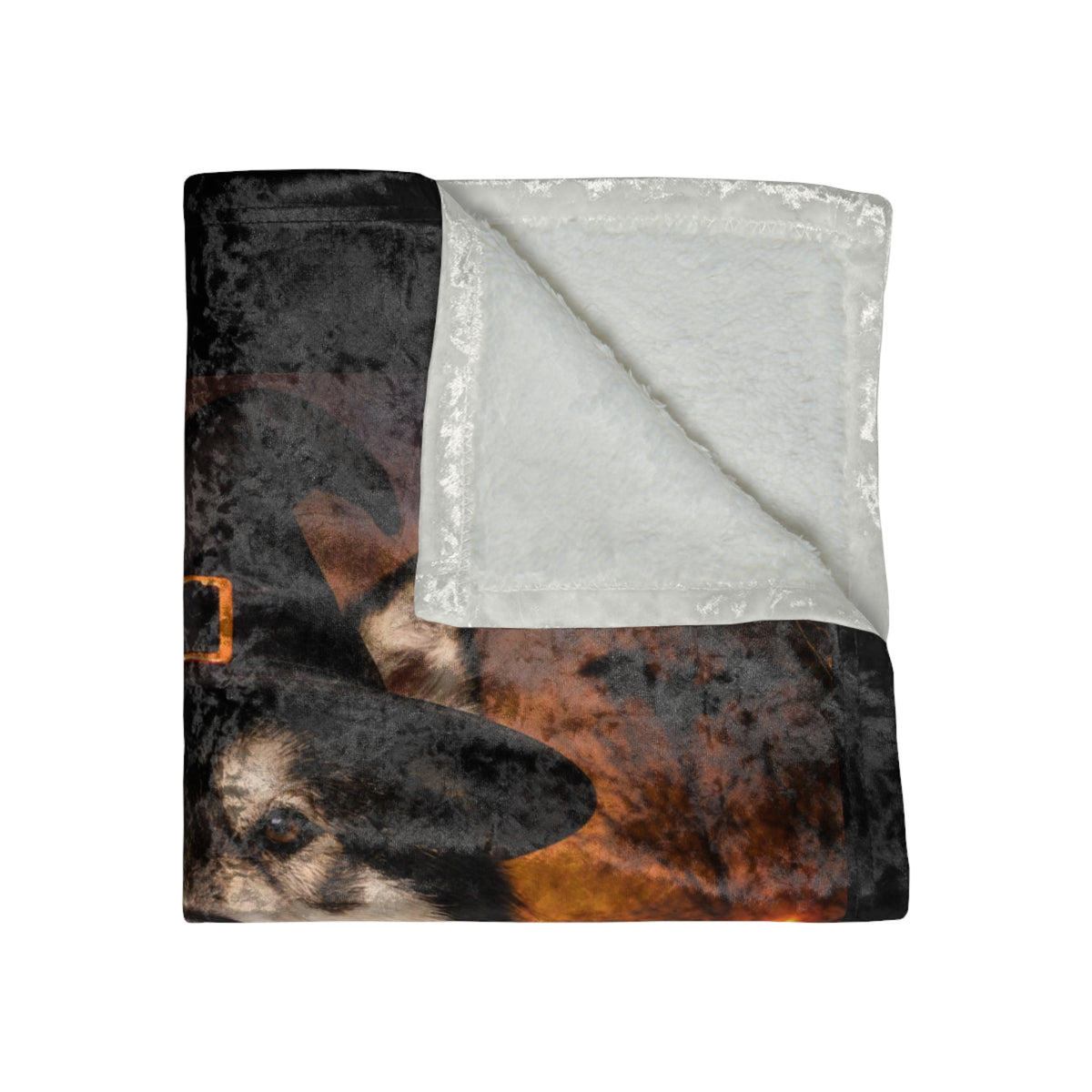 Witch Hat Pack Malamute Crushed Velvet Blanket