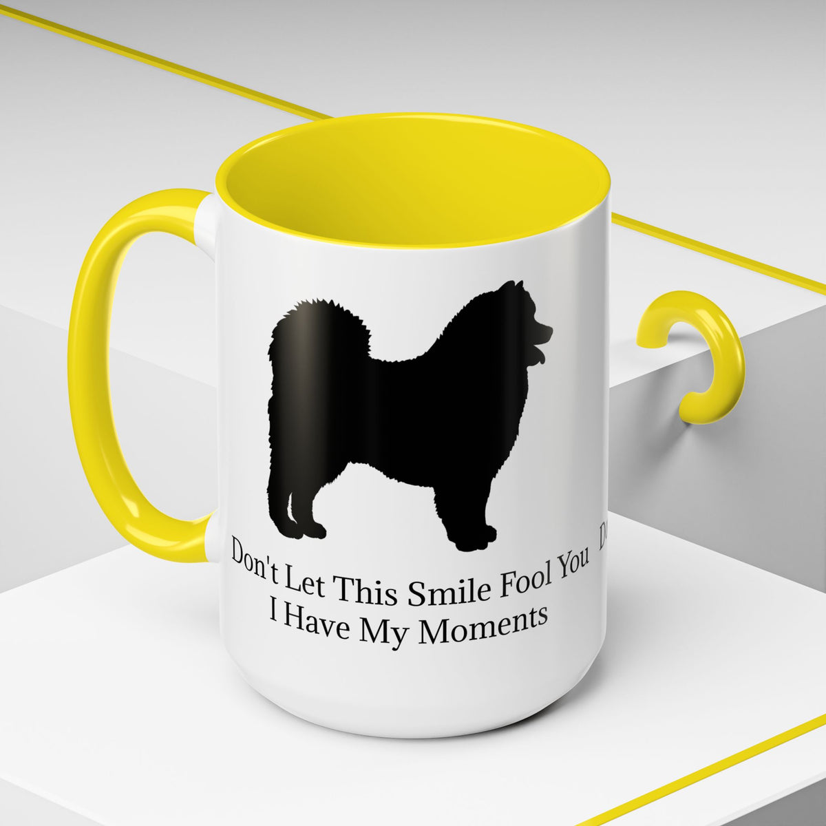 Fool You 2-Tone Coffee Mug
