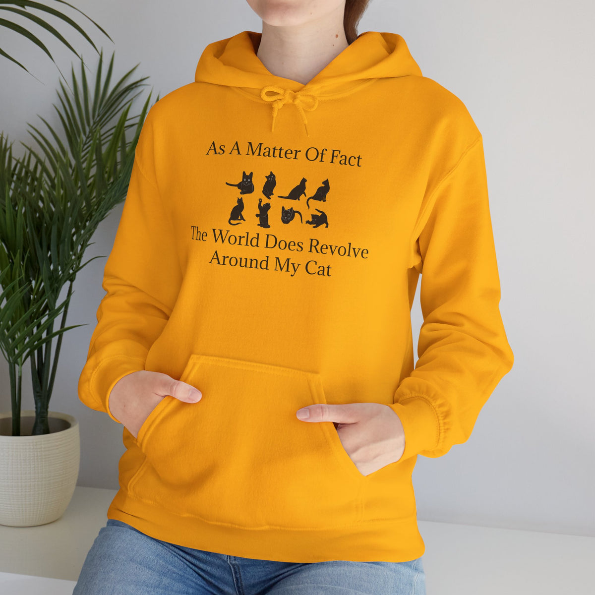 Matter Of Fact Cat Unisex Hoodie