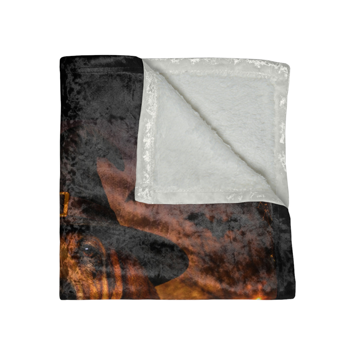 Witch Hat Pack Bloodhound Crushed Velvet Blanket