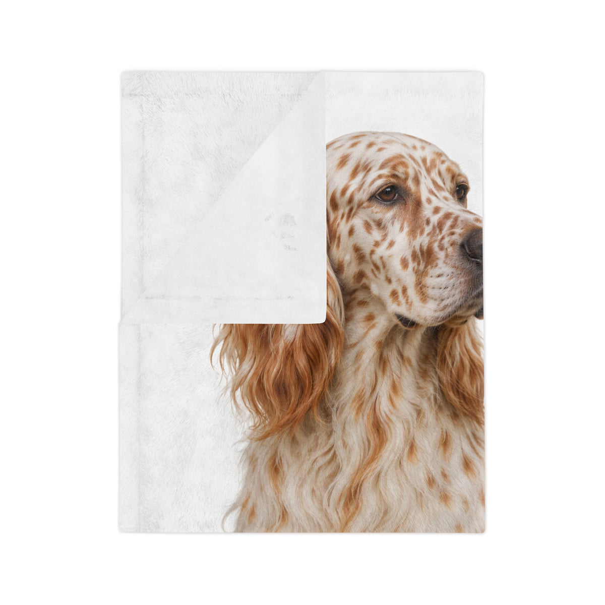 English Setter Head Velveteen Microfiber Blanket