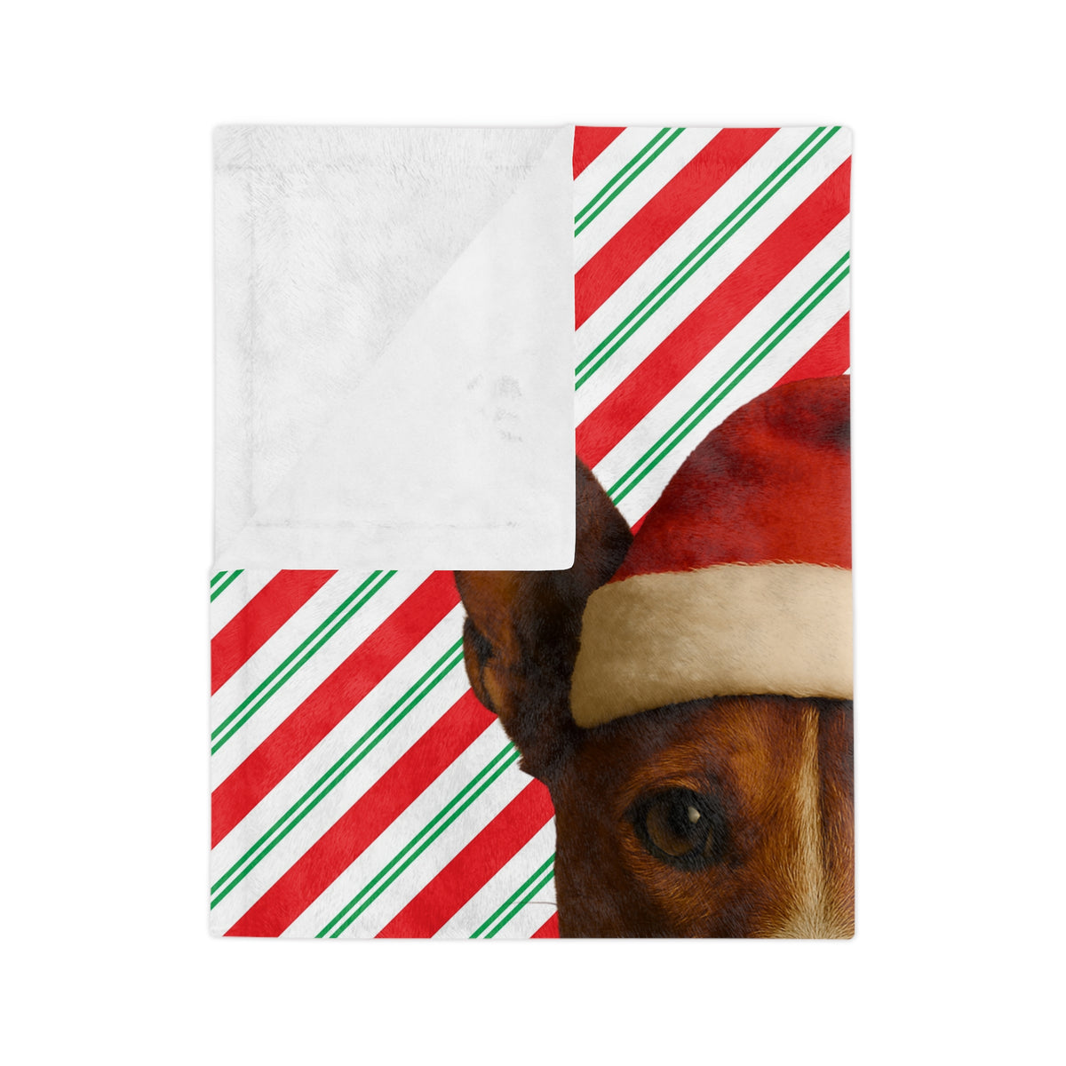 Santa Paws Basenji Velveteen Microfiber Blanket