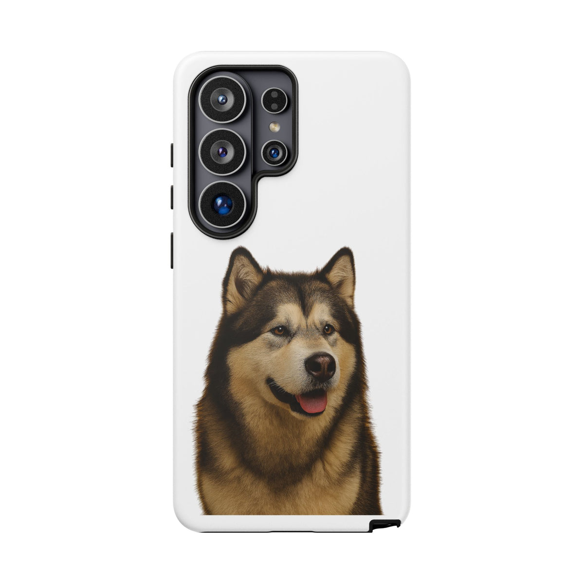 Malamute Head Samsung Case