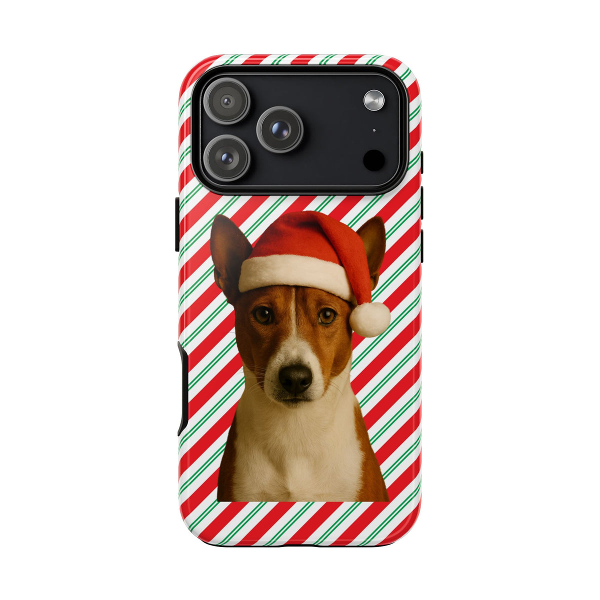 Santa Paws Basenji iPhone Case
