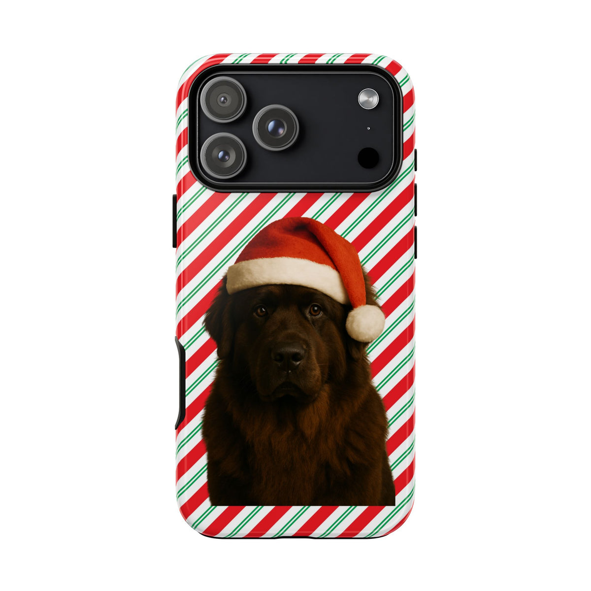 Santa Paws Newfie iPhone Case