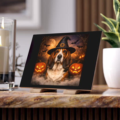 Witch Hat Pack Basset Ceramic Photo Tile