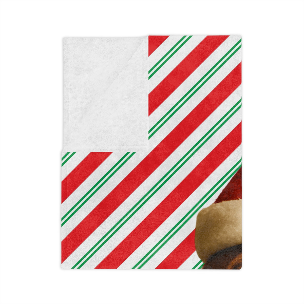 Santa Paws Bloodhound Velveteen Microfiber Blanket