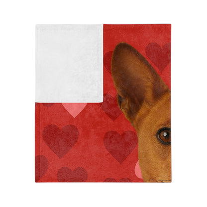 Cupid's Companion Basenji Velveteen Microfiber Blanket