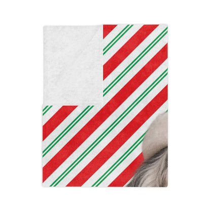 Santa Paws English Setter Velveteen Microfiber Blanket