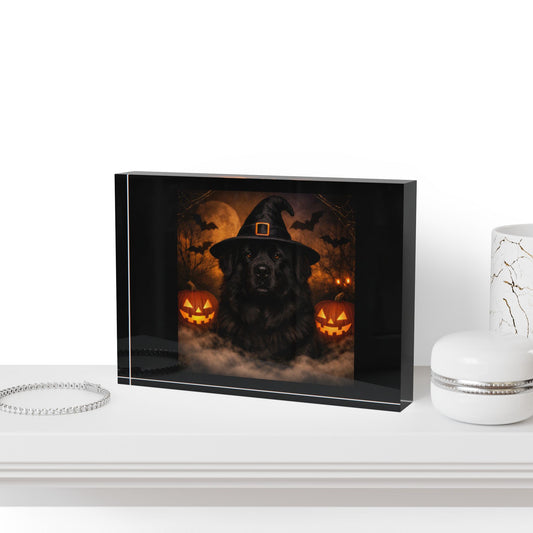 Witch Hat Pack Newfie Acrylic Photo Block