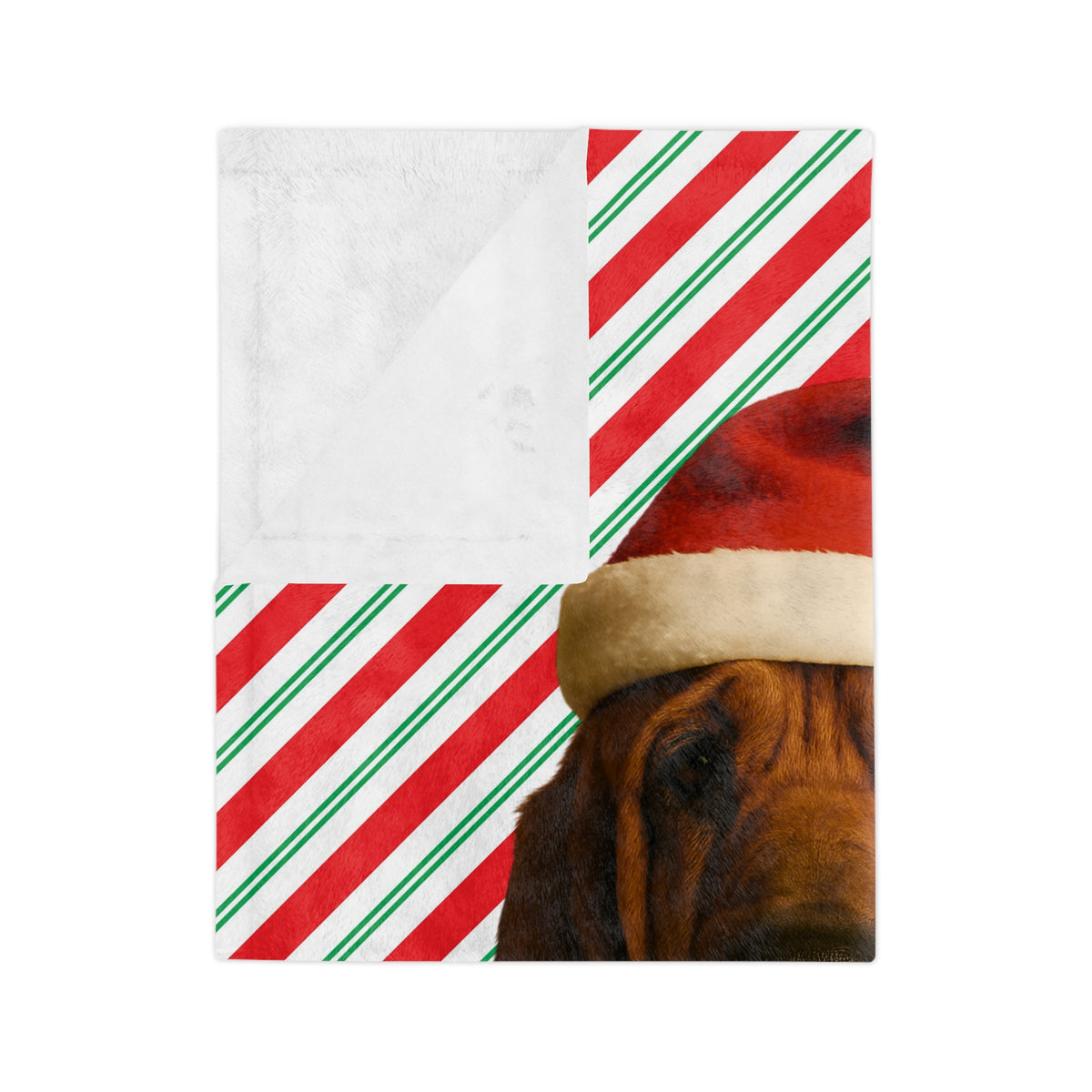 Santa Paws Bloodhound Velveteen Microfiber Blanket