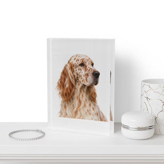 English Setter Head Acrylic Photo Block