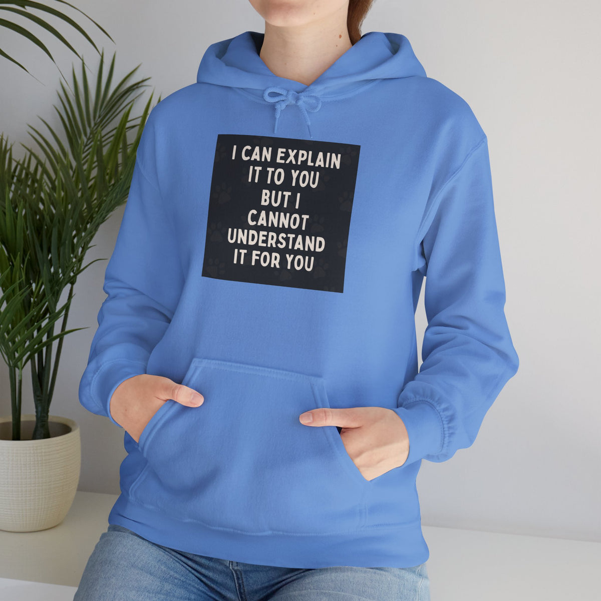 I Cannot Understand It For You Unisex Hoodie