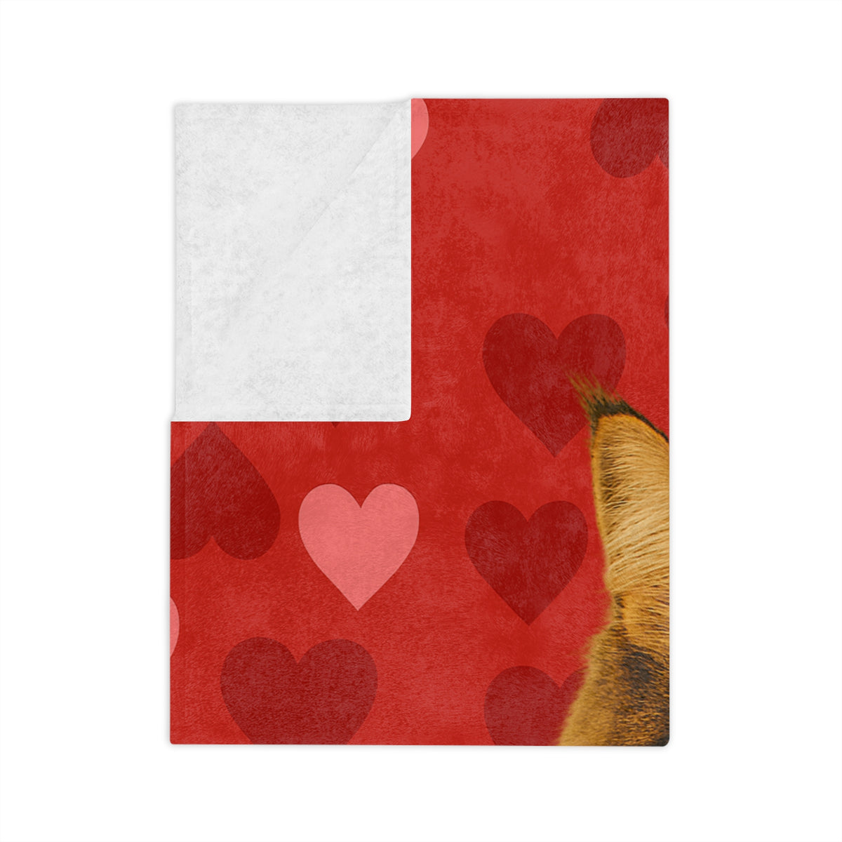 Cupid's Companion Cat Velveteen Microfiber Blanket