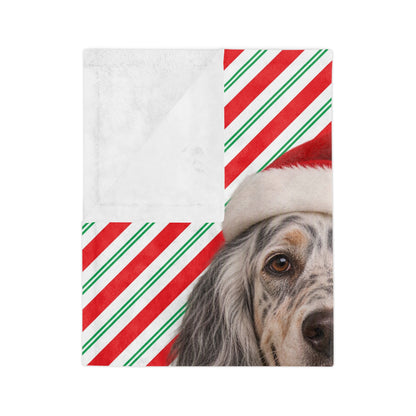 Santa Paws English Setter Velveteen Microfiber Blanket