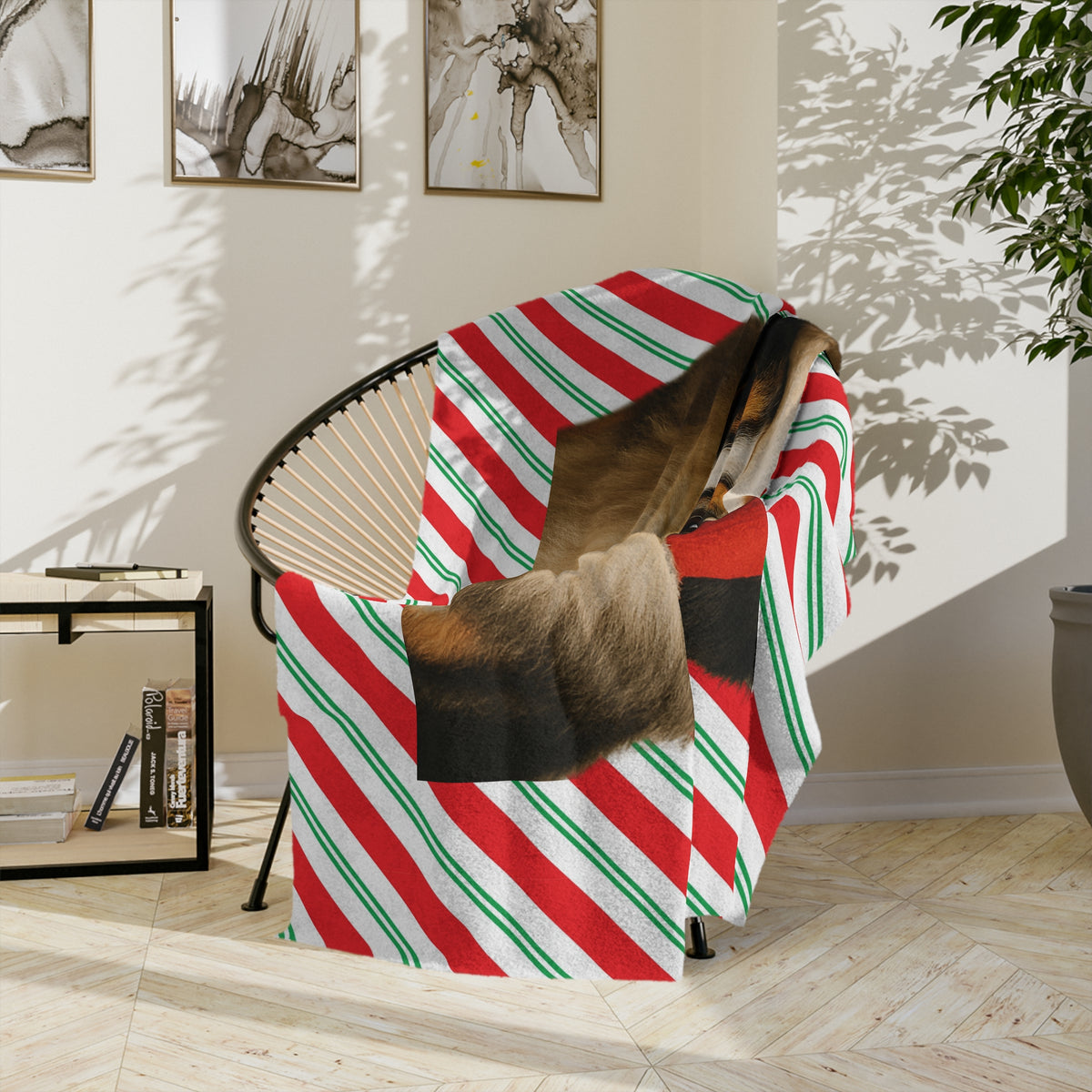 Santa Paws Aussie Velveteen Microfiber Blanket