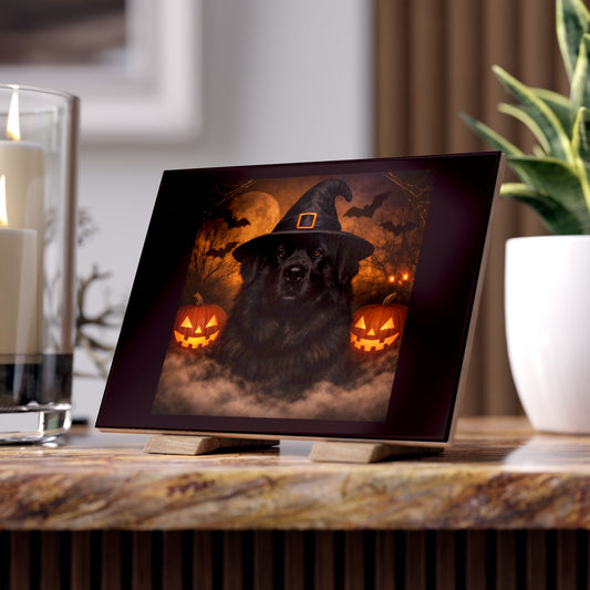 Witch Hat Pack Newfie Ceramic Photo Tile