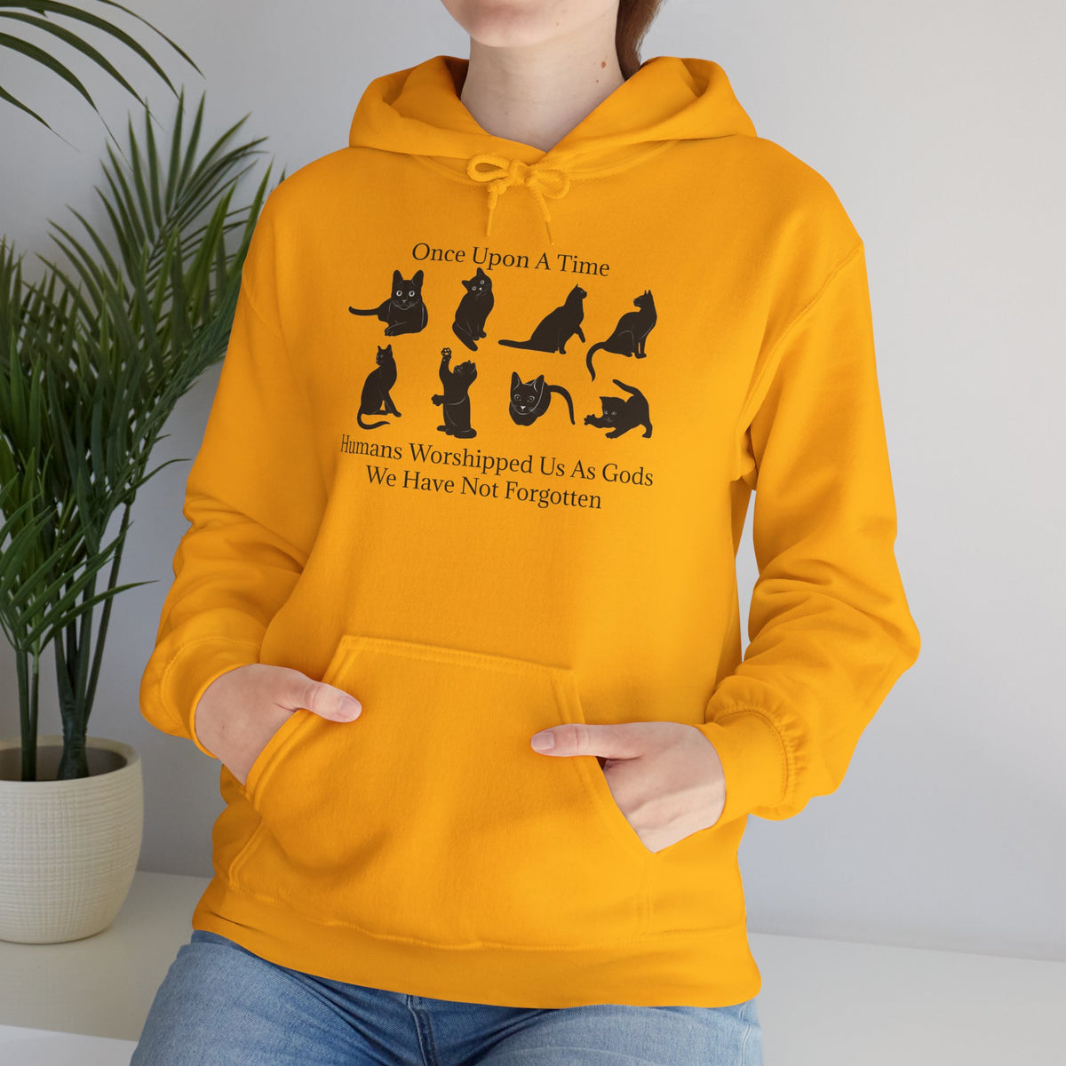 Once Upon A Time Unisex Hoodie