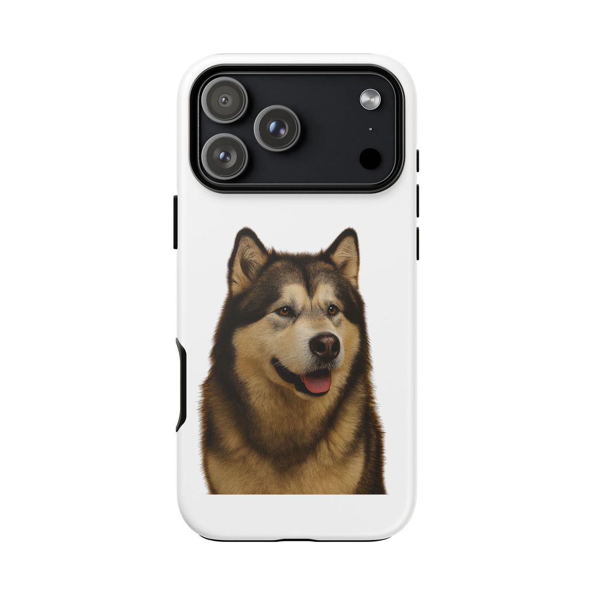 Malamute Head iPhone Case