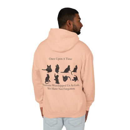 Once Upon A Time Unisex Lightweight Hoodie