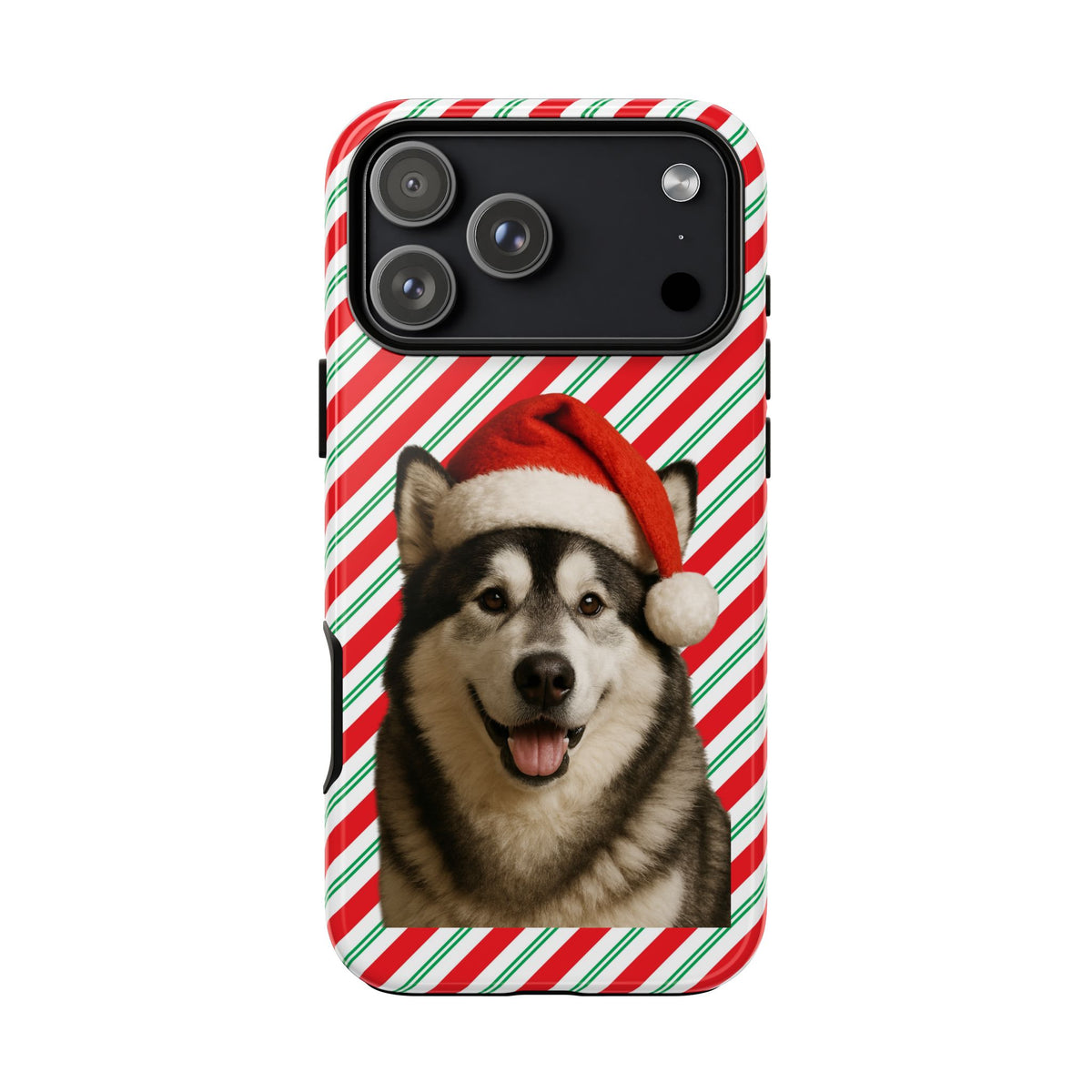 Santa Paws Malamute iPhone Case