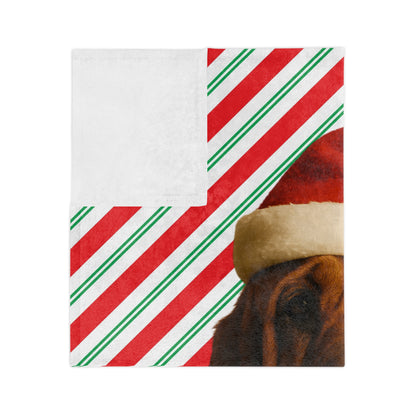 Santa Paws Bloodhound Velveteen Microfiber Blanket