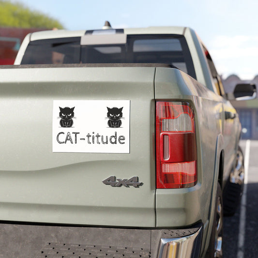 CAT-titude Indoor/Outdoor Magnet