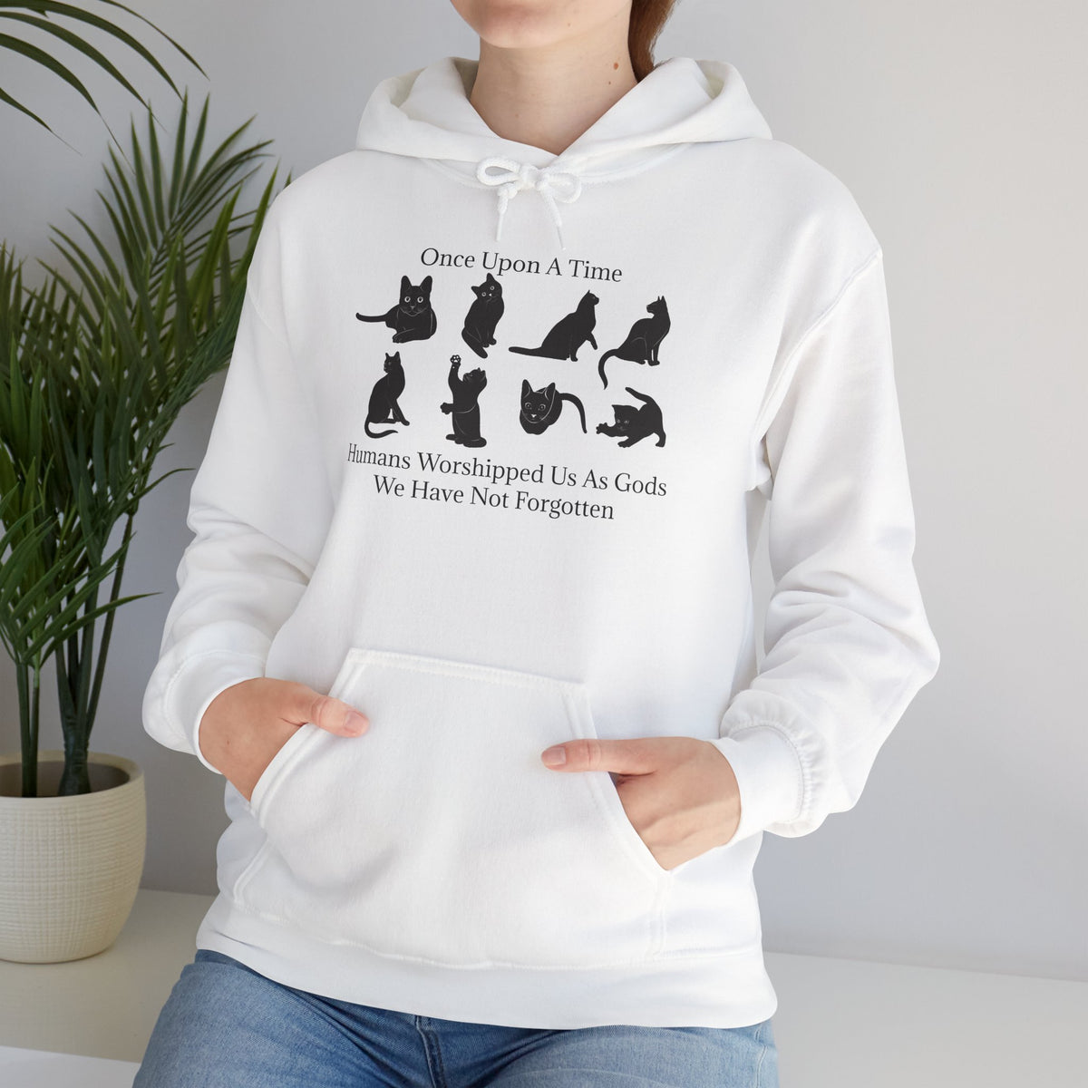 Once Upon A Time Unisex Hoodie