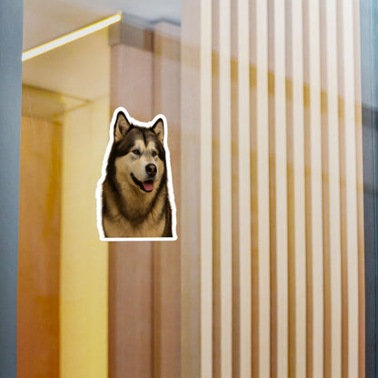 Malamute Head Vinyl Decal