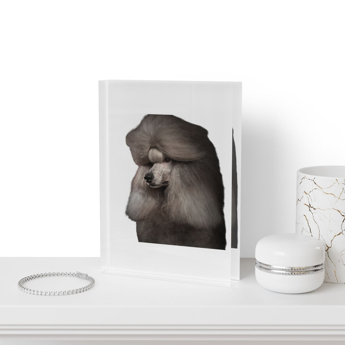 Poodle Head Acrylic Photo Block